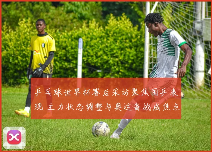 乒乓球世界杯赛后采访聚焦国乒表现 主力状态调整与奥运备战成焦点